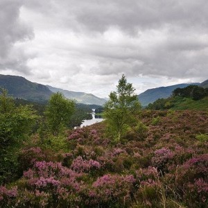 Glen Affric